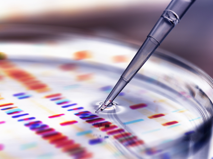 Photo shows scientist adding sample to petri dish with DNA profiles in background/Getty Images