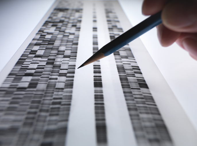 Photo shows scientist viewing DNA gel used in genetic testing/Getty Images