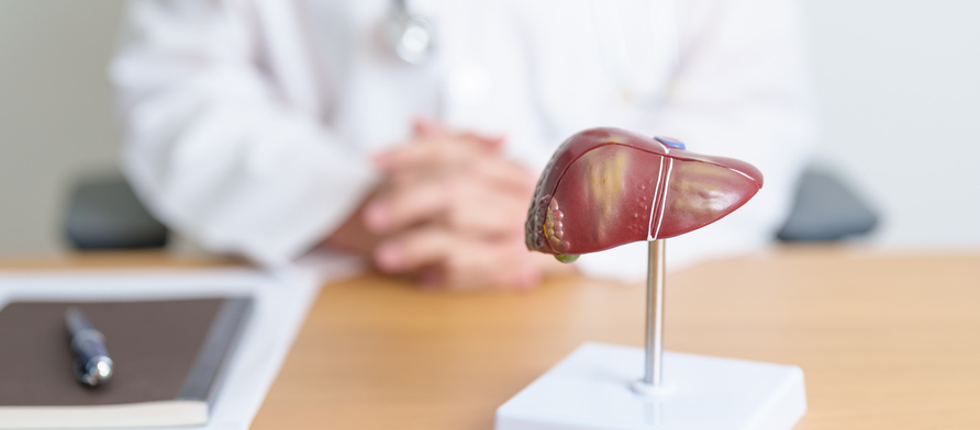 Photo shows doctor sitting behind human liver model on his desk/Getty Images