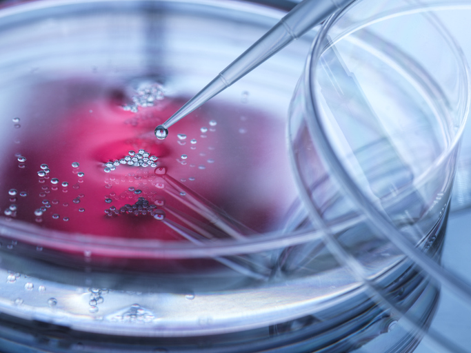 Photo shows a scientist pipetting cell samples into a petri dish/Getty Images