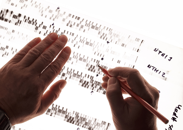 Photo shows DNA research